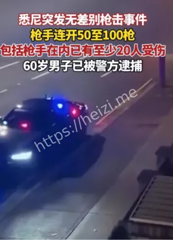 悉尼Croydon Park枪击16伤